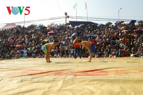 Sới vật Hồng Hà vào xuân - ảnh 2
